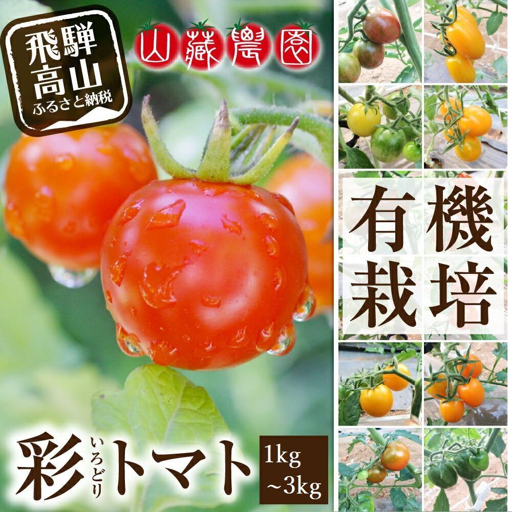 【ふるさと納税】【2025年夏 先行予約】飛騨高山産 有機栽培トマト「彩りトマト」 1～3kg | ミディトマト ミニトマト 詰合せ ミックス 樹熟 5種類以上 食べ比べ 野菜 飛騨高山 山藏農園 JC008MP