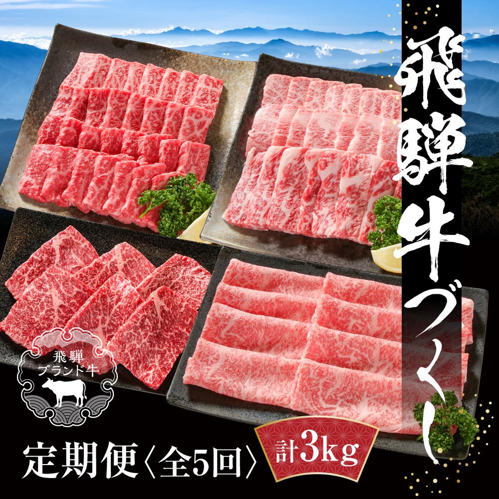 【ふるさと納税】【定期便】飛騨牛 全５回（焼肉・すき焼き・ステーキ）計3kg | 焼肉 ステーキ カルビ 食べ比べ 牛 定期【飛騨高山ミート MZ100】