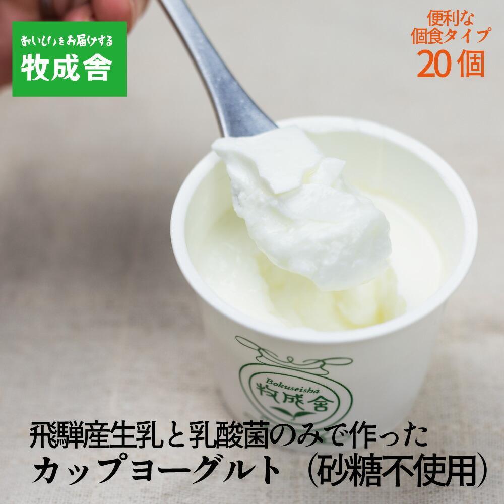 【ふるさと納税】砂糖不使用 プレーンヨーグルト 20個 飛騨の牛乳屋 牧成舎 生乳100％ 朝食におすすめ 無糖ヨーグルト プレーンヨーグルト 砂糖不使用 生乳 ヨーグルト 乳製品 牧成舎 DF006VP