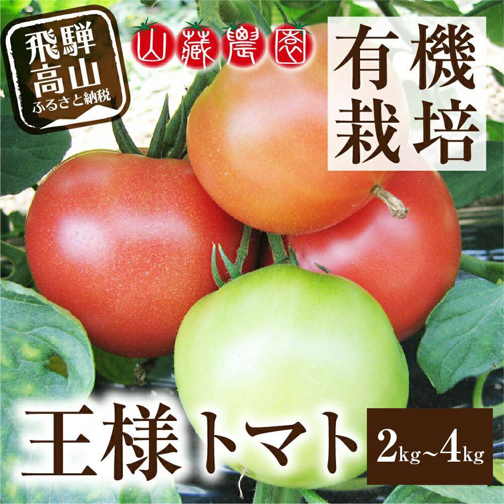 【ふるさと納税】【2025年夏 先行予約】（7月下旬～8月上旬から順次発送予定）飛騨高山産 有機トマト「王様トマト」2～4kg | 大玉トマト とまと 麗月 れおん 野菜 樹熟 飛騨高山 山藏農園 JC010MP