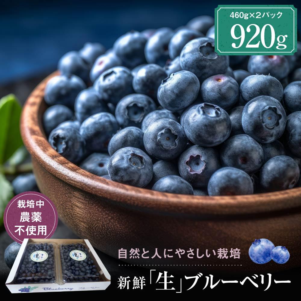 【ふるさと納税】【先行受付】治助ファームの北部ハイブッシュブルーベリー「生果実」460g×2パック（栽培中農薬不使用）| ブルーベリー 果物 果実 完熟 フルーツ 飛騨高山 治助ファーム LJ002 | フルーツ 果物 くだもの 食品 人気 おすすめ 送料無料