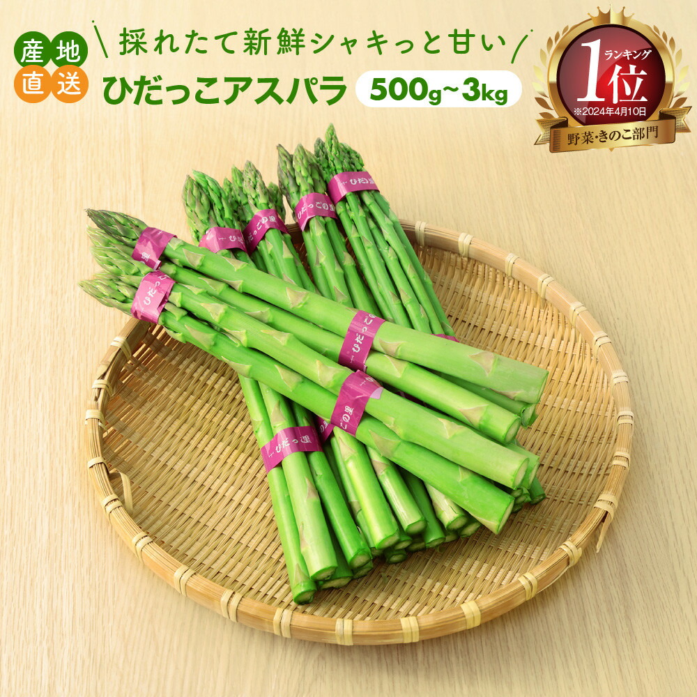 【ふるさと納税】【2025年発送】ひだっこアスパラ 500g～3kg 容量が選べる | アスパラ アスパラガス 飛騨産 野菜 春  夏野菜  産地直送 新鮮 食品 おいしい 人気 飛騨高山 ひだっこの里 CM001MP