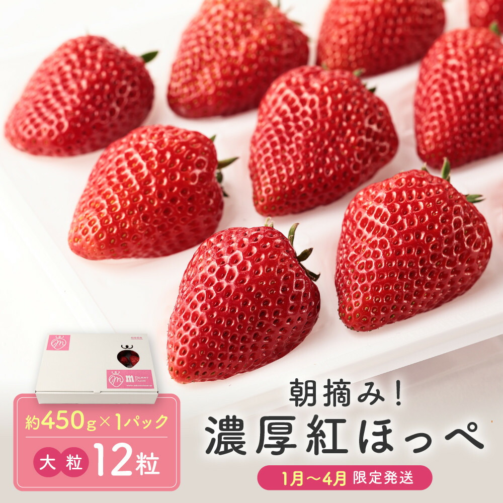【ふるさと納税】【いちご大粒12粒】朝摘み! 濃厚紅ほっぺ 約450g×1パック（数量限定／先行予約／1月～4月発送）| いちご フルーツ 大粒 おいしい ハウス栽培 飛騨高山 m BerryFarm KL002