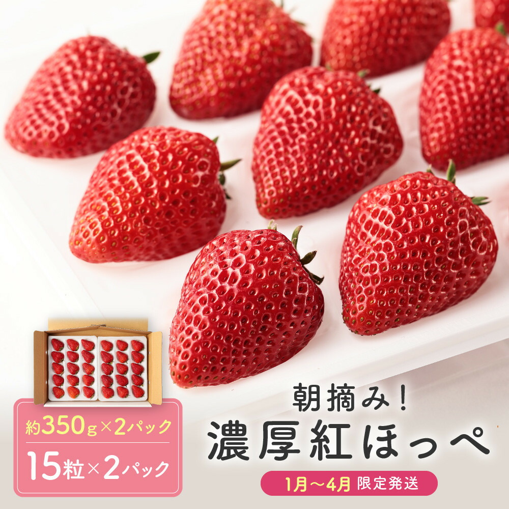 【ふるさと納税】【いちご30粒】朝摘み! 濃厚紅ほっぺ 約350g×2パック（数量限定／先行予約／1月～4月発送）| いちご フルーツ 甘い おいしい ハウス栽培 飛騨高山 m BerryFarm KL003