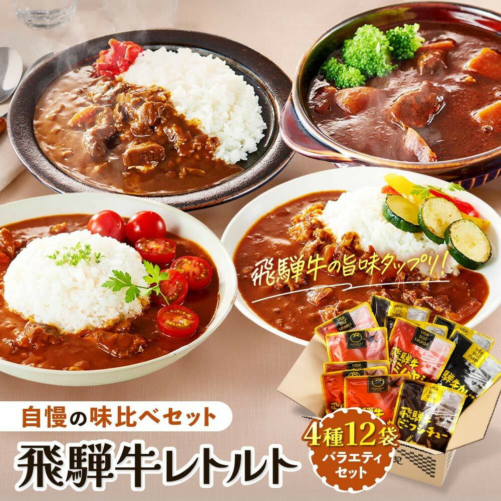 【ふるさと納税】【発送時期が選べる】訳あり 飛騨牛レトルト４種１２袋！ バラエティセット 飛騨牛 肉 牛 カレー ビーフカレー トマトカレー ビーフシチュー デミハヤシ レトルト 12袋 簡易包装 レトルトカレー ご当地カレー おいしい 便利 飛騨高山 ふるさと清見21 DC002VP