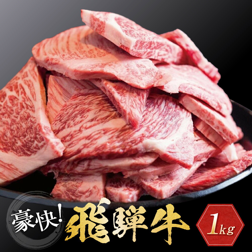 【ふるさと納税】飛騨牛 訳あり焼肉1kg 切り落とし | 牛肉 訳あり 部位 大きさ不揃い 日付指定不可 冷凍 焼き肉 BBQ バーベキュー 切落し 和牛 ブランド牛 飛騨高山 株式会社丸明 LR008VP【飛騨牛 和牛ブランド 飛騨牛 黒毛和牛 飛騨牛 岐阜 高山市 飛騨牛】