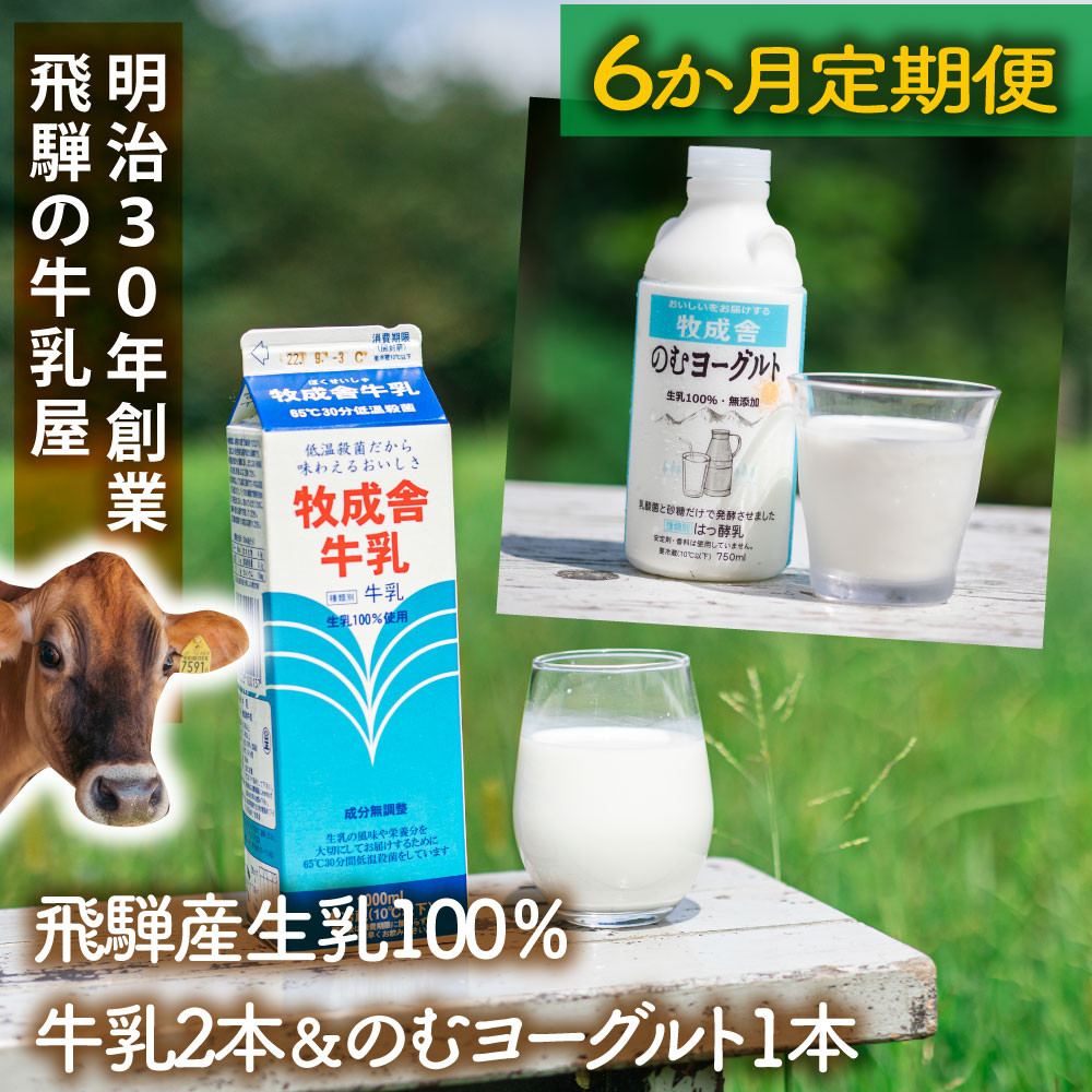 【ふるさと納税】【6か月定期便】牧成舎の飛騨産低温殺菌牛乳と飲むヨーグルトセット｜牛乳1000ml×2本＋のむヨーグルト750ml×1本｜食品添加物不使用・お取り寄せ・健康習慣｜ (有)牧成舎 DF237