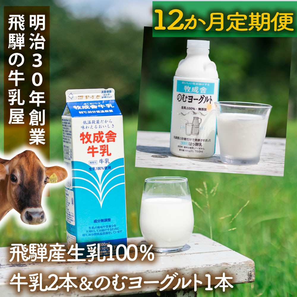 【ふるさと納税】【12か月定期便】牧成舎の飛騨産低温殺菌牛乳と飲むヨーグルトセット｜牛乳1000ml×2本＋のむヨーグルト750ml×1本｜食品添加物不使用・お取り寄せ・健康習慣｜ (有)牧成舎 DF239