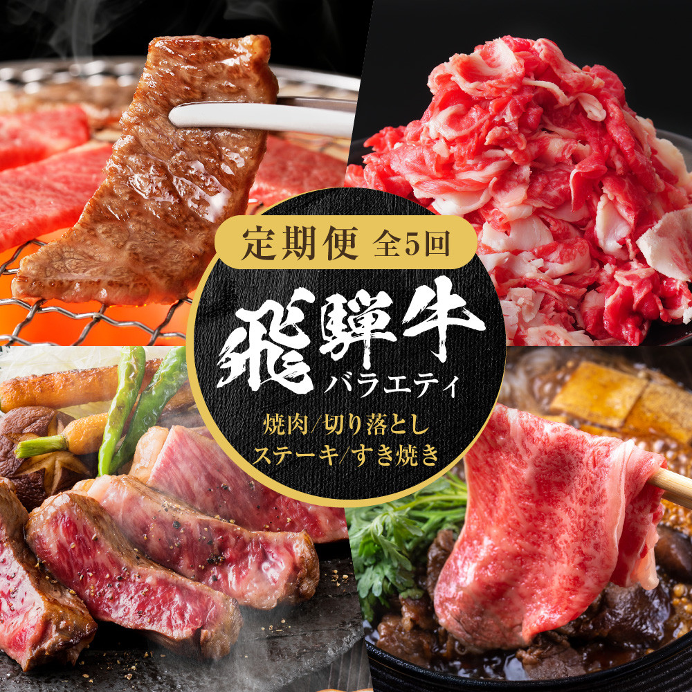 【ふるさと納税】【定期便】全5回 飛騨牛 バラエティ（ステーキ /焼肉 / すき焼き/切り落とし） | 肉 お肉 黒毛和牛 和牛 個包装 小分け 牛肉 お取り寄せ 飛騨高山ミート MZ104｜岐阜県高山市