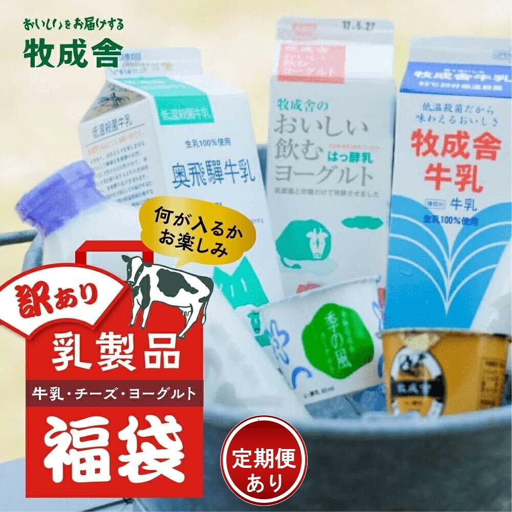 【ふるさと納税】『牧成舎』”何が届くかお楽しみ!” 訳あり乳製品福袋セット 単品配送 10000円/定期便全3~12回 (毎月発送)| DF005MP|岐阜県高山市