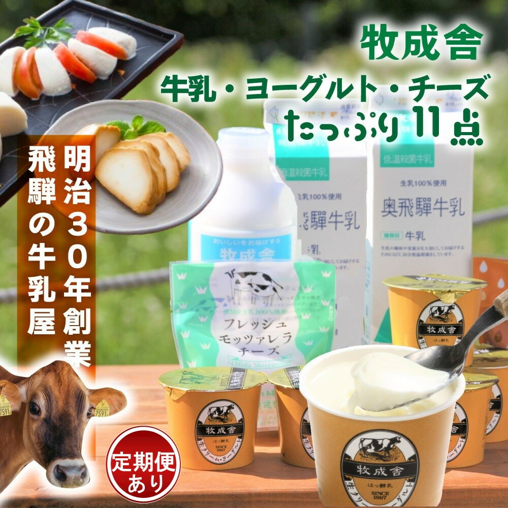 【ふるさと納税】【飛騨乳製品バラエティセット】牛乳・ヨーグルト・チーズ詰め合わせ　11点 単品配送 10000円／定期便全3～12回 (毎月発送)|DF010MP