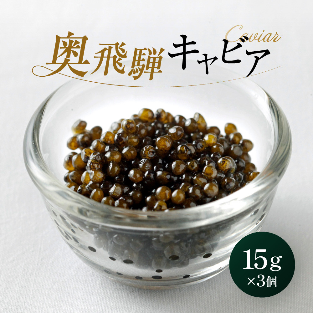 【ふるさと納税】奥飛騨キャビア15g×3個|焼岳すっぽん 奥飛騨 贈答用 魚卵 日本産 グルメ 高山市 HE002|岐阜県高山市