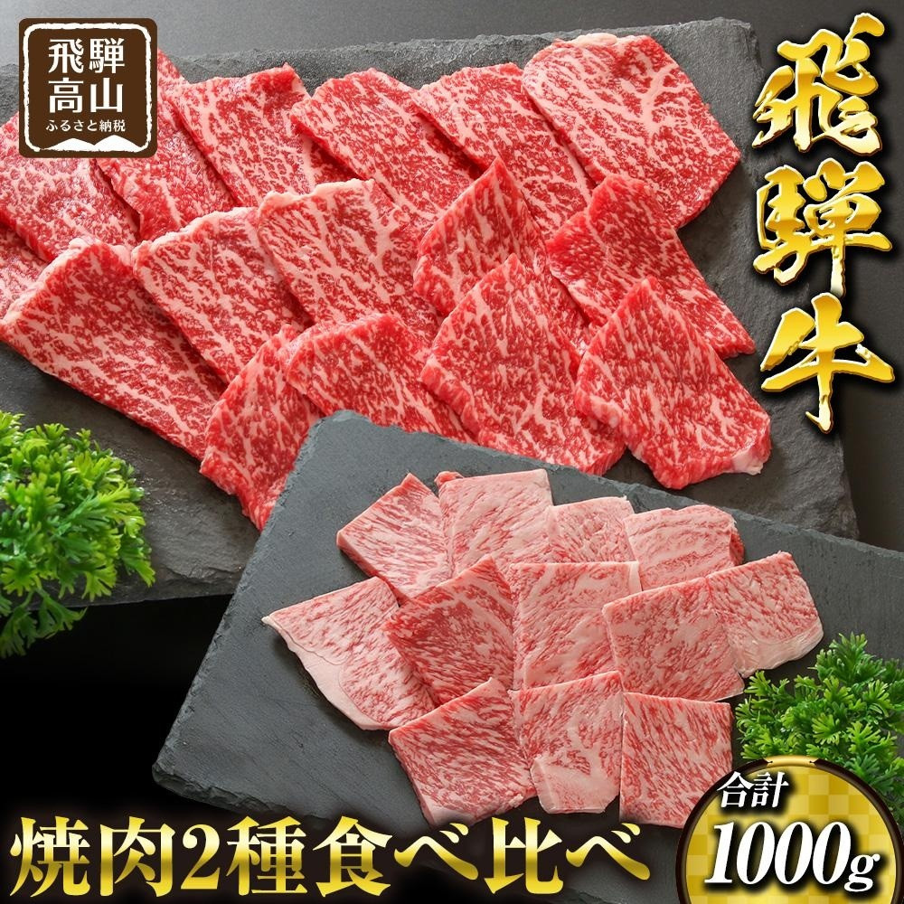 【ふるさと納税】飛騨高山の飛騨牛焼肉 リブロース&モモ合計1000g 4~5人前|飛騨牛 ブランド 焼肉セット 黒毛和牛 飛騨高山 マノア株式会社 PS002