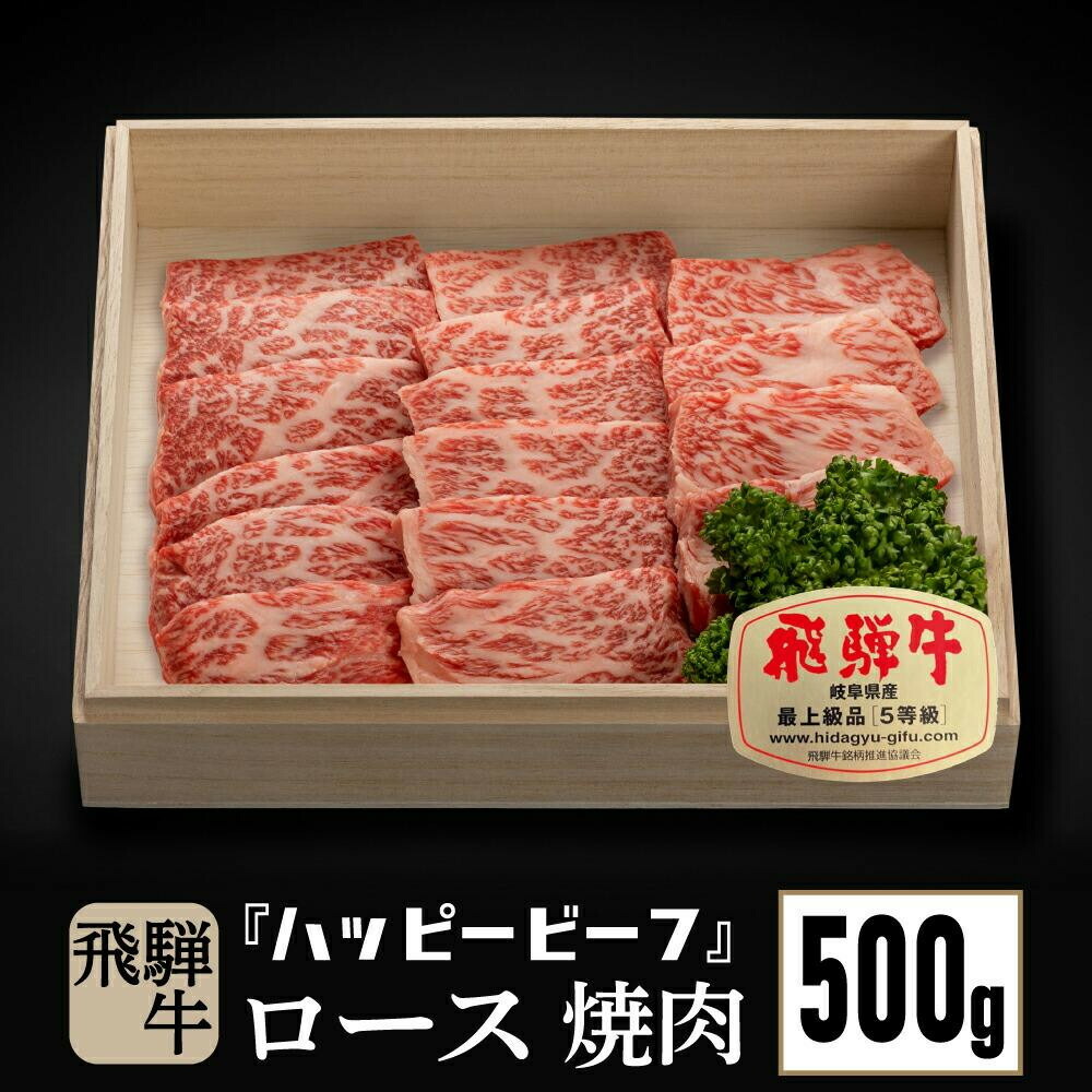 【ふるさと納税】飛騨牛 A5等級 ロース ５００g | 焼肉 飛騨牛 ブランド牛 Ａ5ランク ハッピープラス 飛騨高山 JQ017VP｜岐阜県高山市