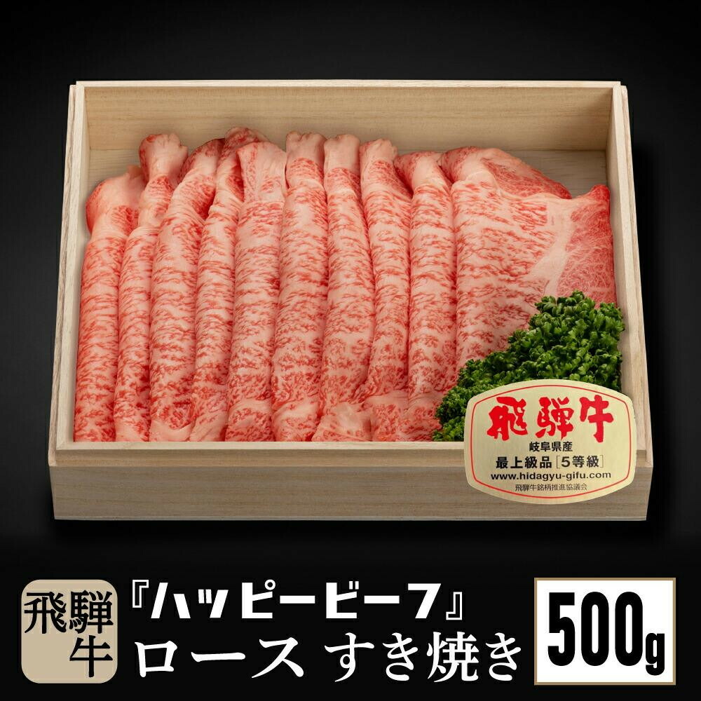 【ふるさと納税】飛騨牛 A5等級 ロース ５００g すき焼き ｜牛肉 肉 和牛 飛騨牛 ブランド牛 Ａ5ランク 人気 国産 おすすめ お取り寄せ グルメ ハッピープラス 飛騨高山 JQ018VP｜岐阜県高山市 40,950円
