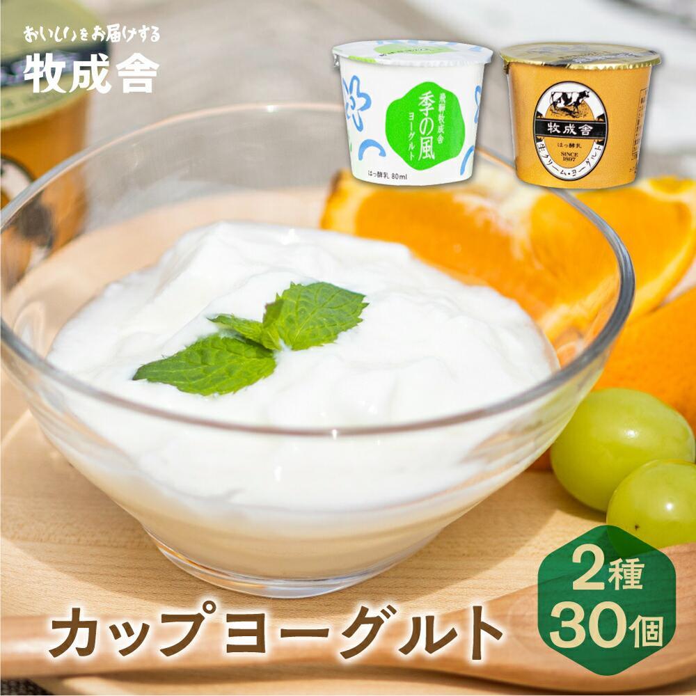 【ふるさと納税】【寄附額見直しました!】<牧成舎> 飛騨の牛乳屋のこだわりヨーグルト (30個セット) | おいしい ヨーグルト 食品 健康 濃厚 朝食 牧場 飛騨高山 DF012VP|岐阜県高山市