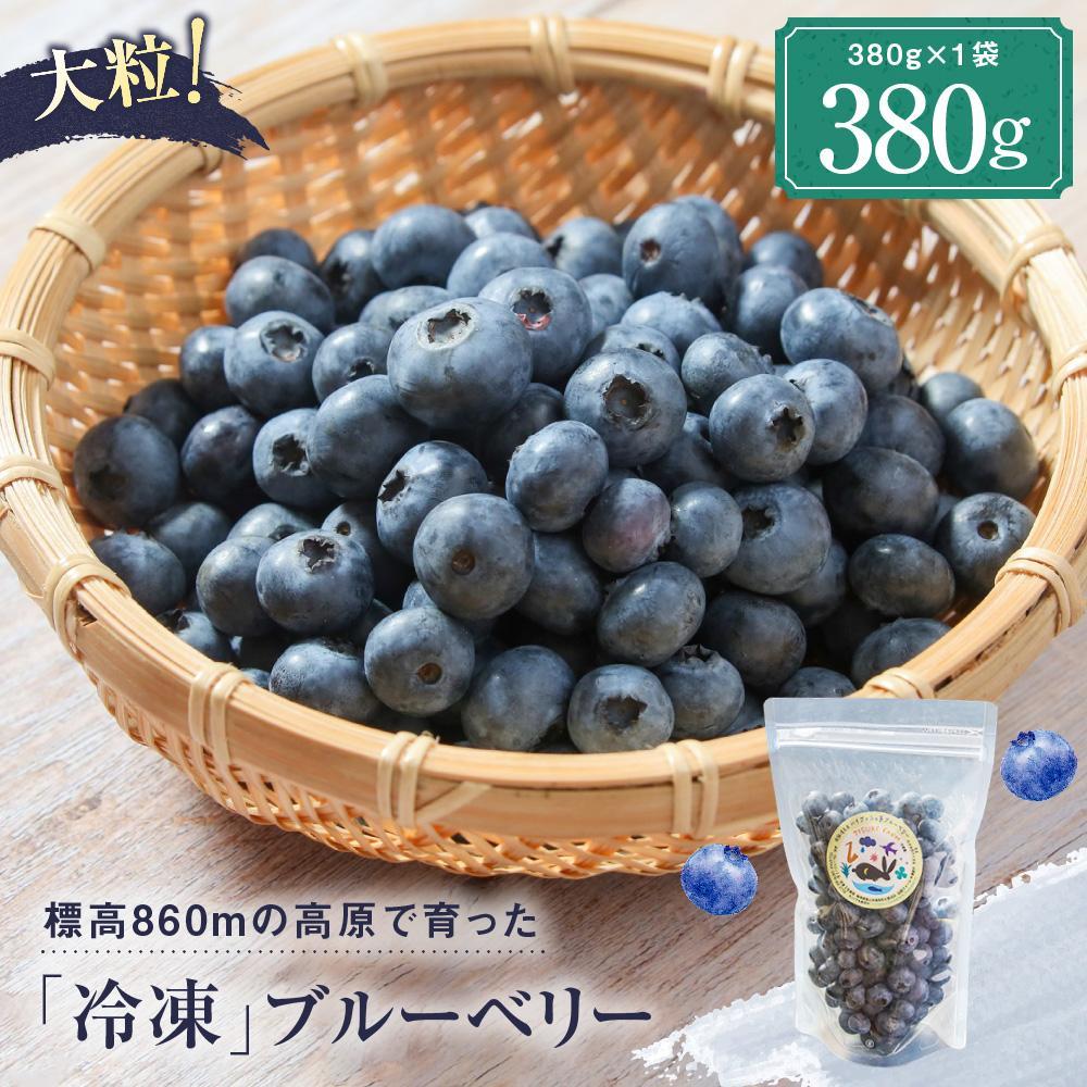 【ふるさと納税】治助ファームの北部ハイブッシュブルーベリー「冷凍果実」380g×1袋 | 国産 フルーツ おやつ 製菓 冷凍 果物 冷凍フルーツ 飛騨高山 治助ファーム LJ005VP