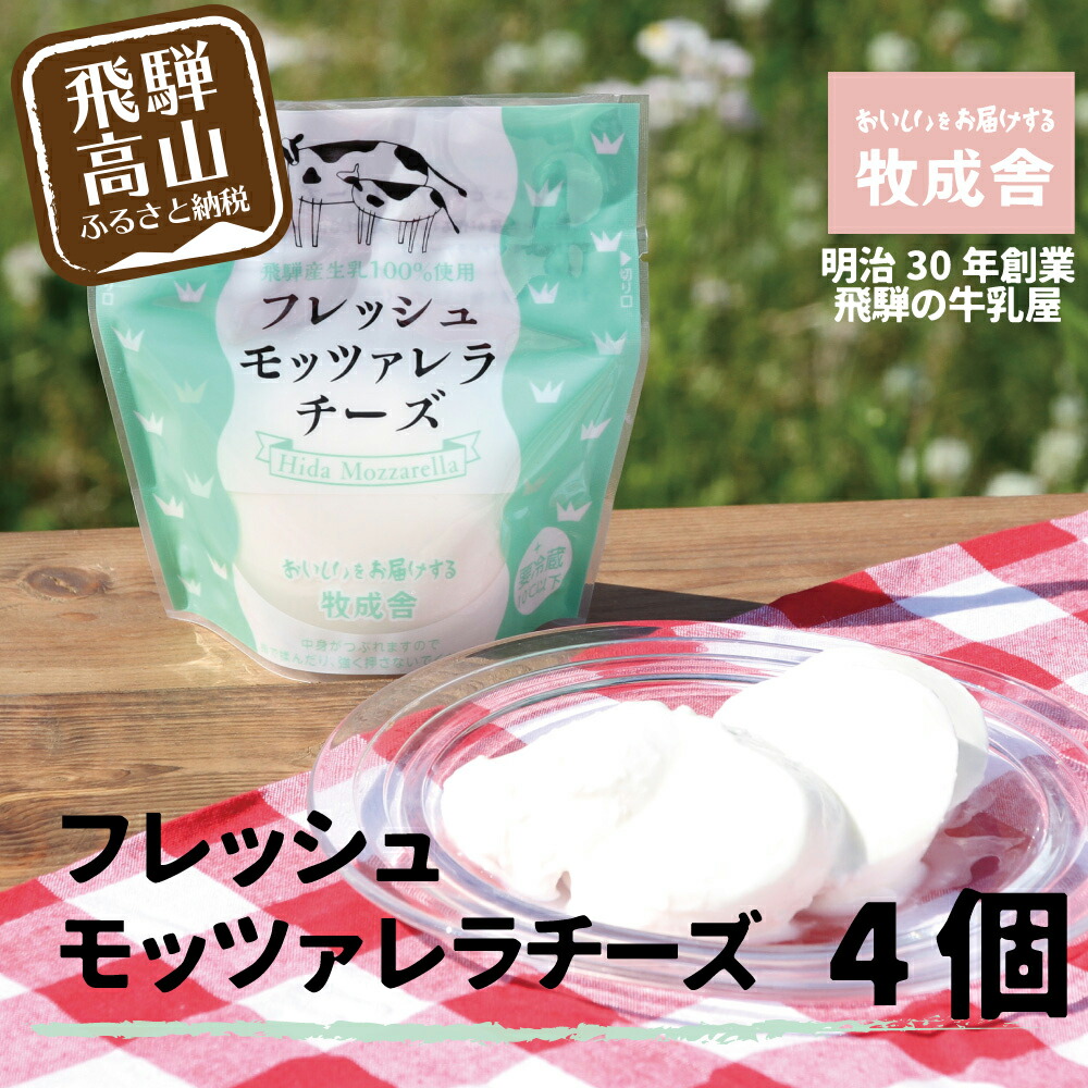 市場 ふるさと納税 定期便 飛騨の牛乳屋 3カ月 こだわり 牧成舎