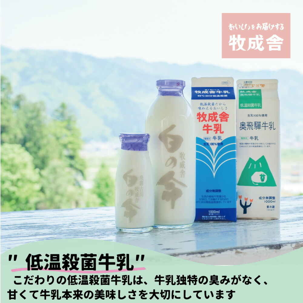 市場 ふるさと納税 牧成舎 3カ月 飛騨の牛乳屋 定期便 こだわり