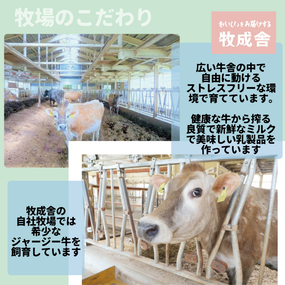 市場 ふるさと納税 牧成舎 3カ月 飛騨の牛乳屋 定期便 こだわり