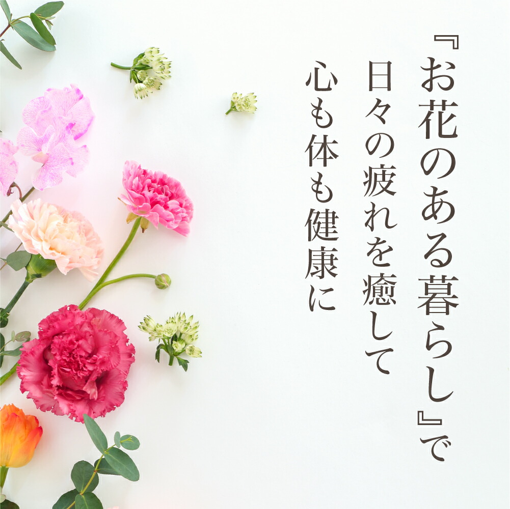 【ふるさと納税】【定期便】全12回季節のお花を使った日フラワーアレンジメントオフィス玄関に季節の花生花花定期便インテリア160000円下出生花店飛騨高山TR3993