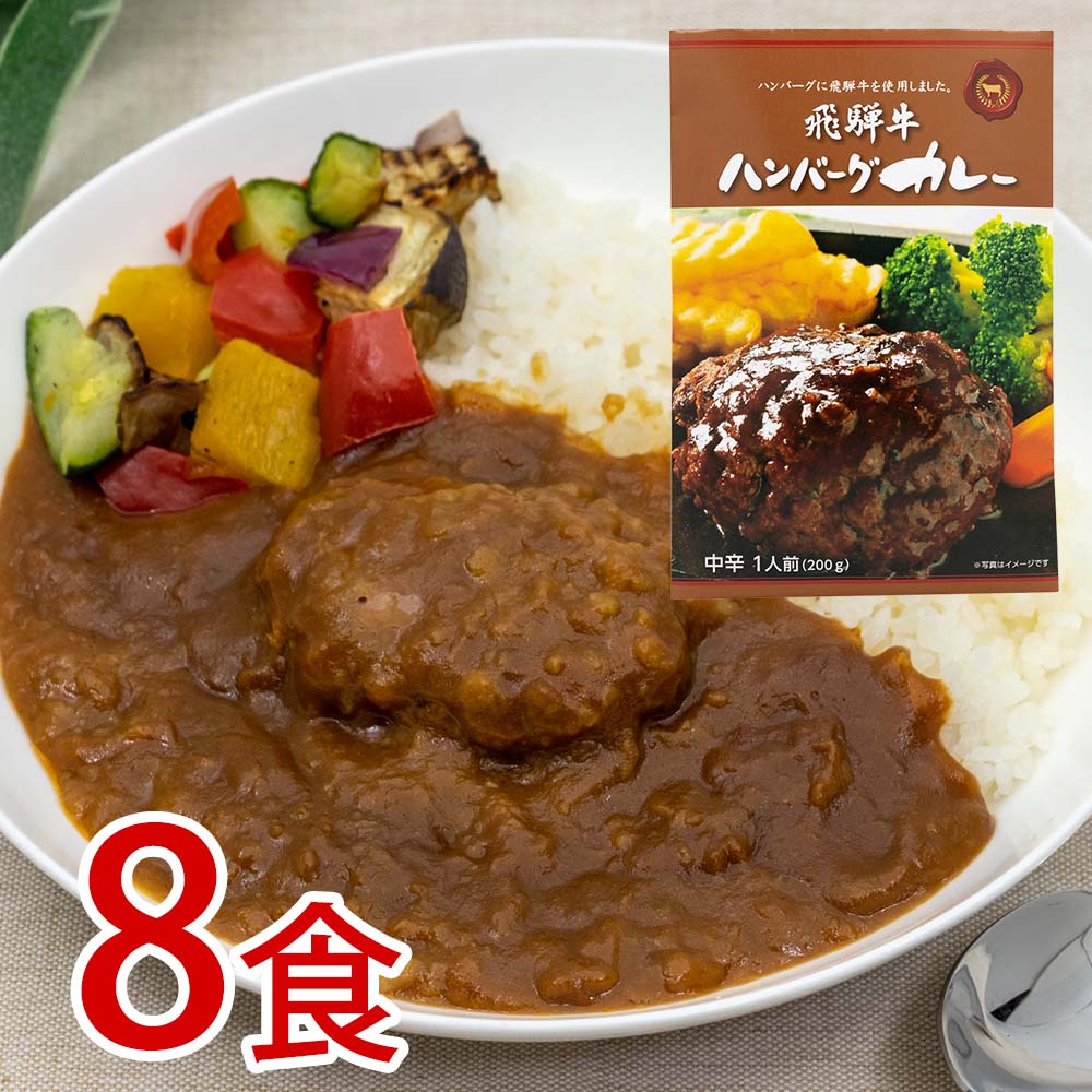 キッチン飛騨 レトルトカレー セット 円 4種個 飛騨牛 老舗 カレー シチュー レトルト ハヤシビーフ 常温 詰め合わせ レトルト食品 名店 C502