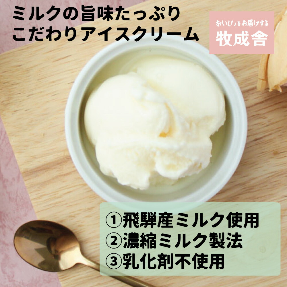 高い素材 飛騨の牛乳屋 牧成舎 ミルクの旨味たっぷり業務用 １Lアイスクリーム 訳あり 3種 合計3Ｌ アイス 冷菓 1000ml お菓子 おかし  デザート おやつ スイーツ 乳製品 TR4340 fucoa.cl