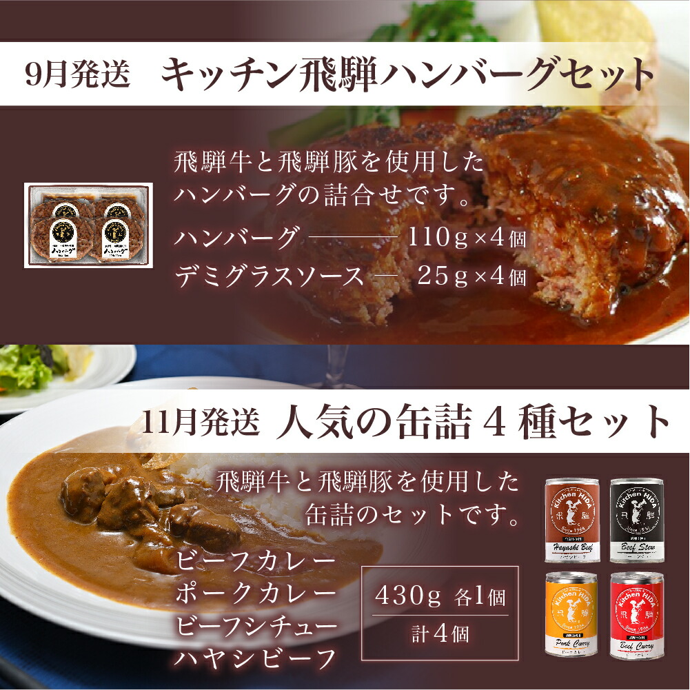 楽ギフ_包装】 4回お届け キッチン飛騨 4か月 定期 レトルト カレー 飛騨ハム ハムセット ハンバーグ 缶詰 食品 寄付金額 40000円 常温  冷凍 ビーフ ポーク ビーフシチュー ハヤシビーフ 飛騨牛 老舗 名店 飛騨高山 人気 お楽しみ TR3916 fucoa.cl