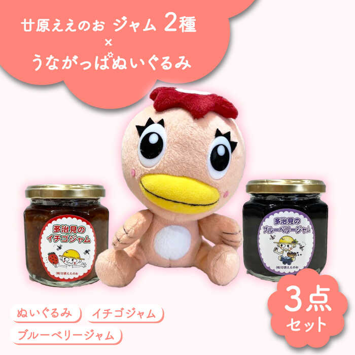 【ふるさと納税】廿原ええのお ジャム 2種 × うながっぱぬいぐるみ セット 5 多治見市 /多治見市観光協会 いちご ブルーベリー[TAQ009]