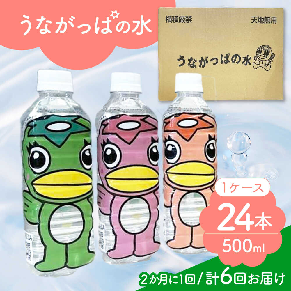 【ふるさと納税】【6回定期便】 うながっぱの水 1ケース（ 500ml ペットボトル &times; 24本 ） 2 多治見市 /多治見市観光協会 ミネラルウォーター 備蓄[TAQ017]｜岐阜県多治見市