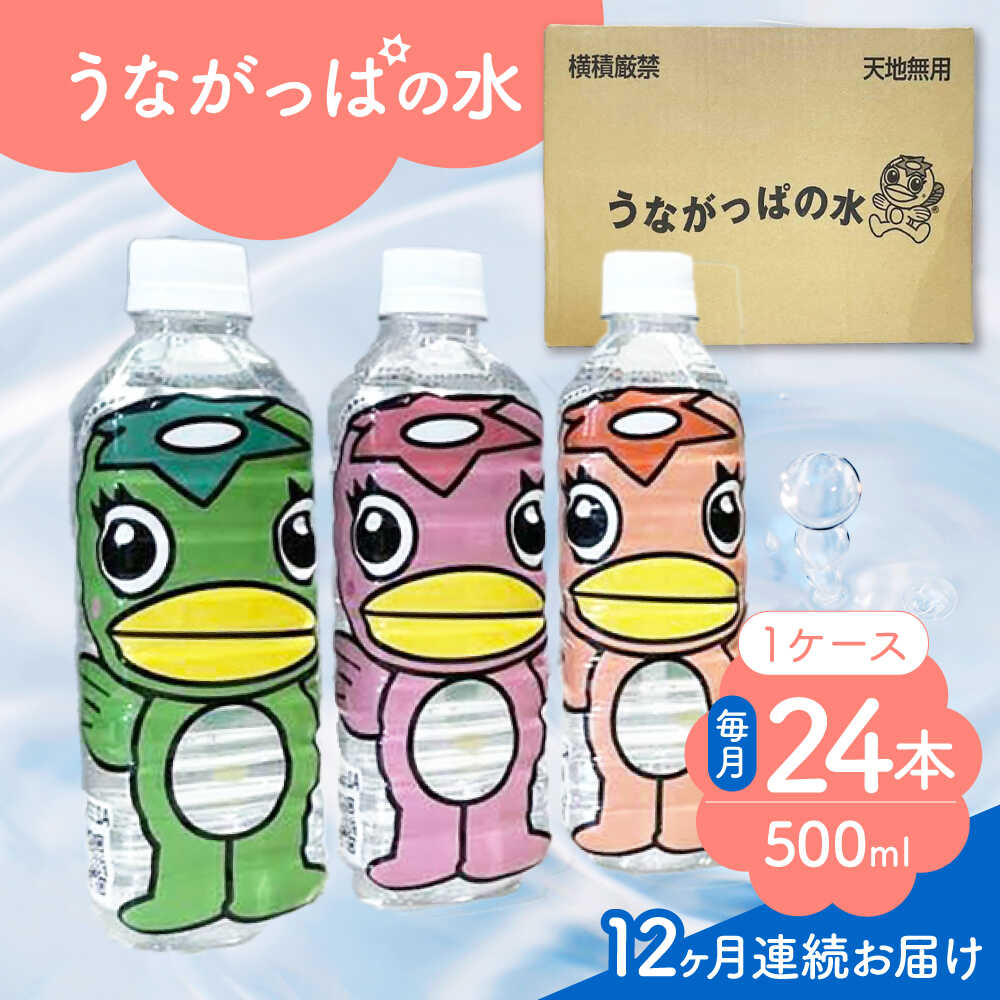 【ふるさと納税】【12回定期便】 うながっぱの水 1ケース（ 500ml ペットボトル &times; 24本 ） 2 多治見市 /多治見市観光協会 ミネラルウォーター 備蓄[TAQ018]｜岐阜県多治見市