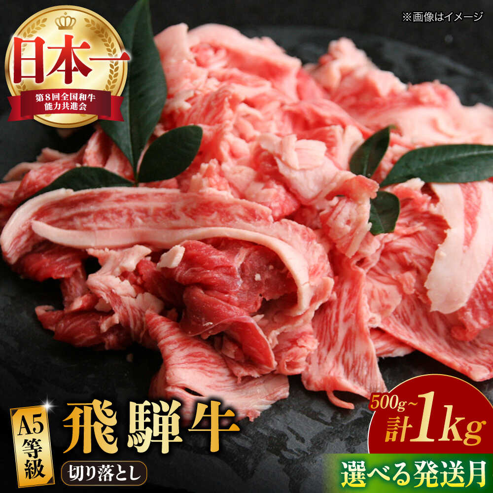 【ふるさと納税】【選べる発送月・容量】 飛騨牛 A5等級 切り落とし 和牛 ブランド牛 国産 多治見市/肉の丸長 [TAZ004]
