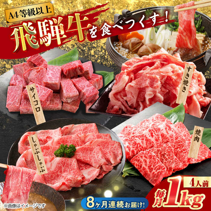 【ふるさと納税】【8回定期便】 飛騨牛を食べつくす！ 飛騨牛 プレミアム 定期便 4人前 ( しゃぶしゃぶ × すき焼き × サイコロステーキ × 焼肉 ) 各1kg A4等級以上 多治見市 / 渡辺精肉店 和牛 ブランド牛 牛肉[TAZ049]