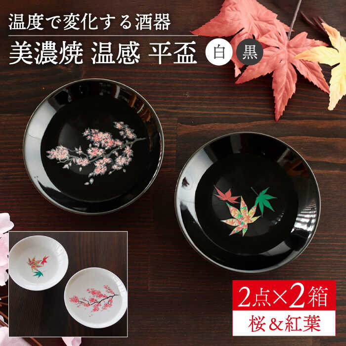 美濃 美濃型紙絵付け 小皿 平盃 酒器 古美術 古道具 アンティーク 美濃 美濃型紙絵付け 小皿 平盃 酒器 古美術 古道具 アンティーク