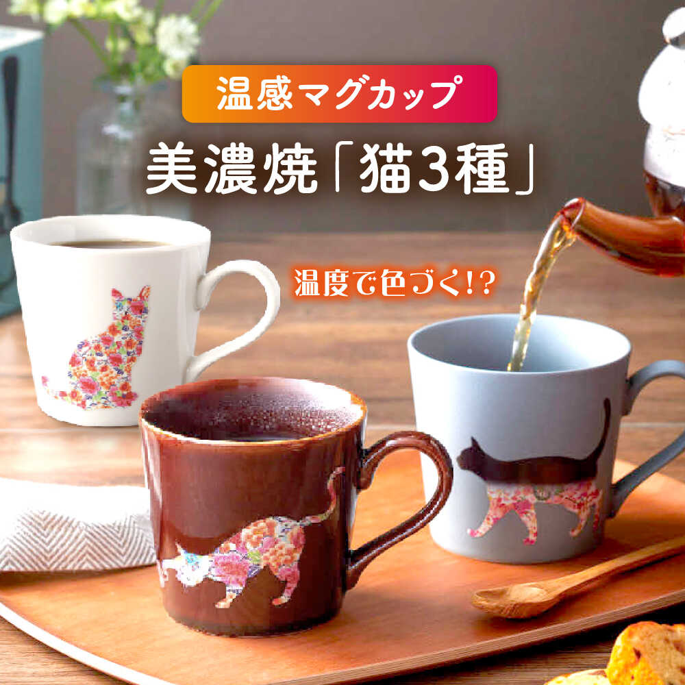 ▽神品『飛騨牛』特集▽