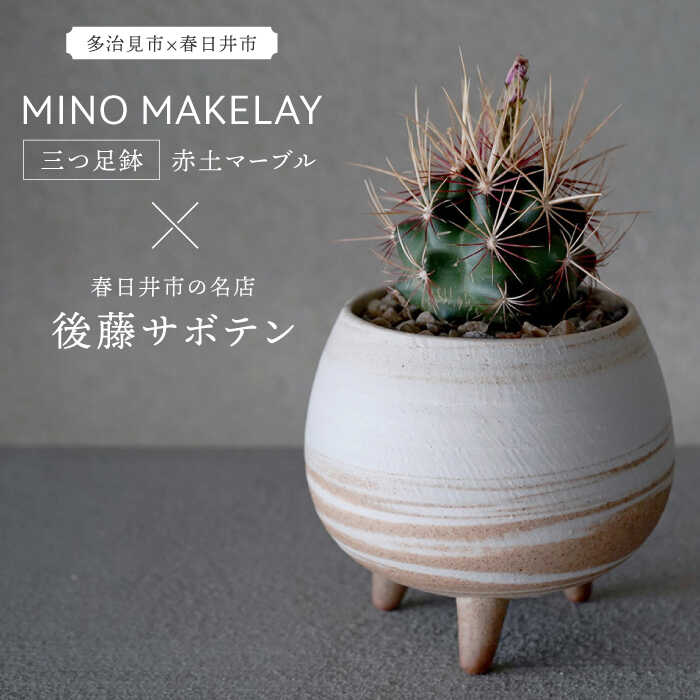 ▽神品『飛騨牛』特集▽