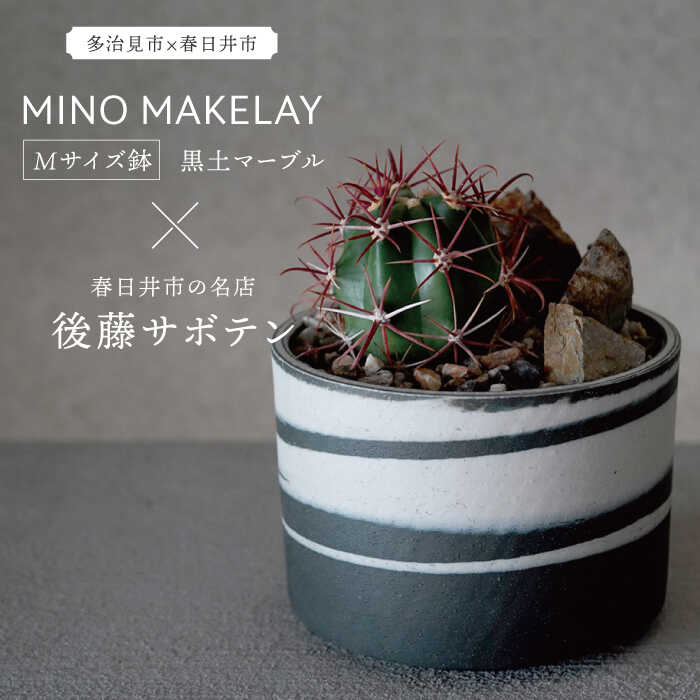 ▽神品『飛騨牛』特集▽