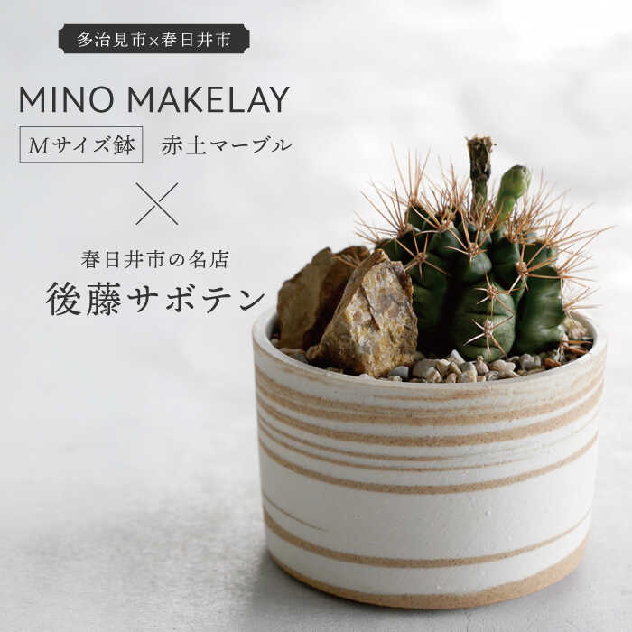 【ふるさと納税】多治見市&times;春日井市コラボ【美濃焼】 MINO MAKELAY Mサイズ 鉢 赤土マーブル &times; 【日本有数のサボテンの生産地】 春日井市の名店 後藤サボテン 【井澤コーポレーション】 [TBP166]｜岐阜県多治見市