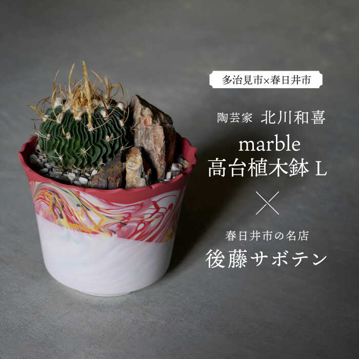 ▽雄篇『飛騨牛』特集▽