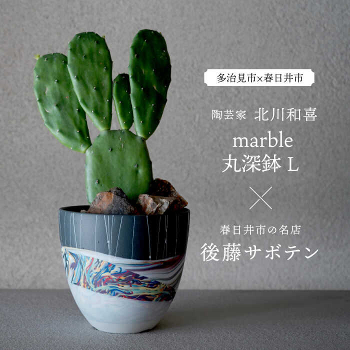 ▽雄篇『飛騨牛』特集▽