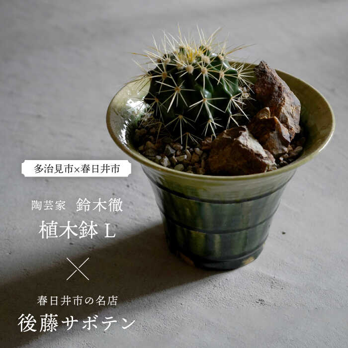 ▽神品『飛騨牛』特集▽