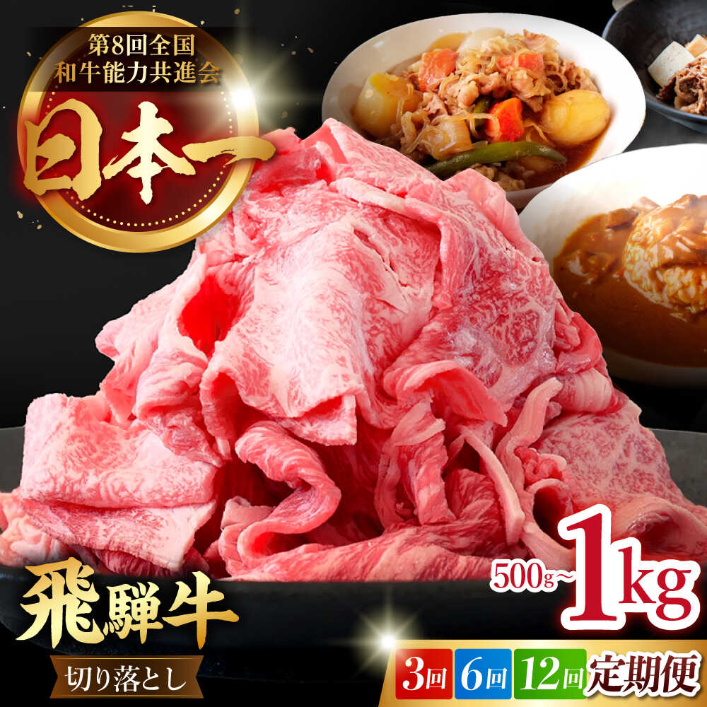 【ふるさと納税】【選べる容量・定期便回数】【 飛騨牛 】切り落とし 500g～1kg 牛肉 国産 ブランド牛 和牛 多治見市/肉のひぐち [TDC010]｜岐阜県多治見市