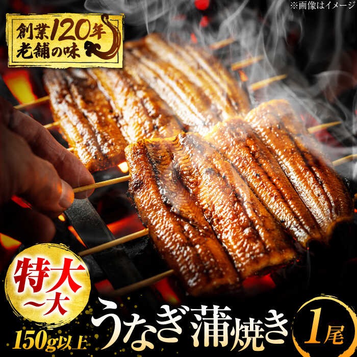 【ふるさと納税】 【お中元ギフト】うなぎ 蒲焼き 1尾 鰻 ウナギ 丑の日 多治見市/澤千 [TDD003]｜岐阜県多治見市