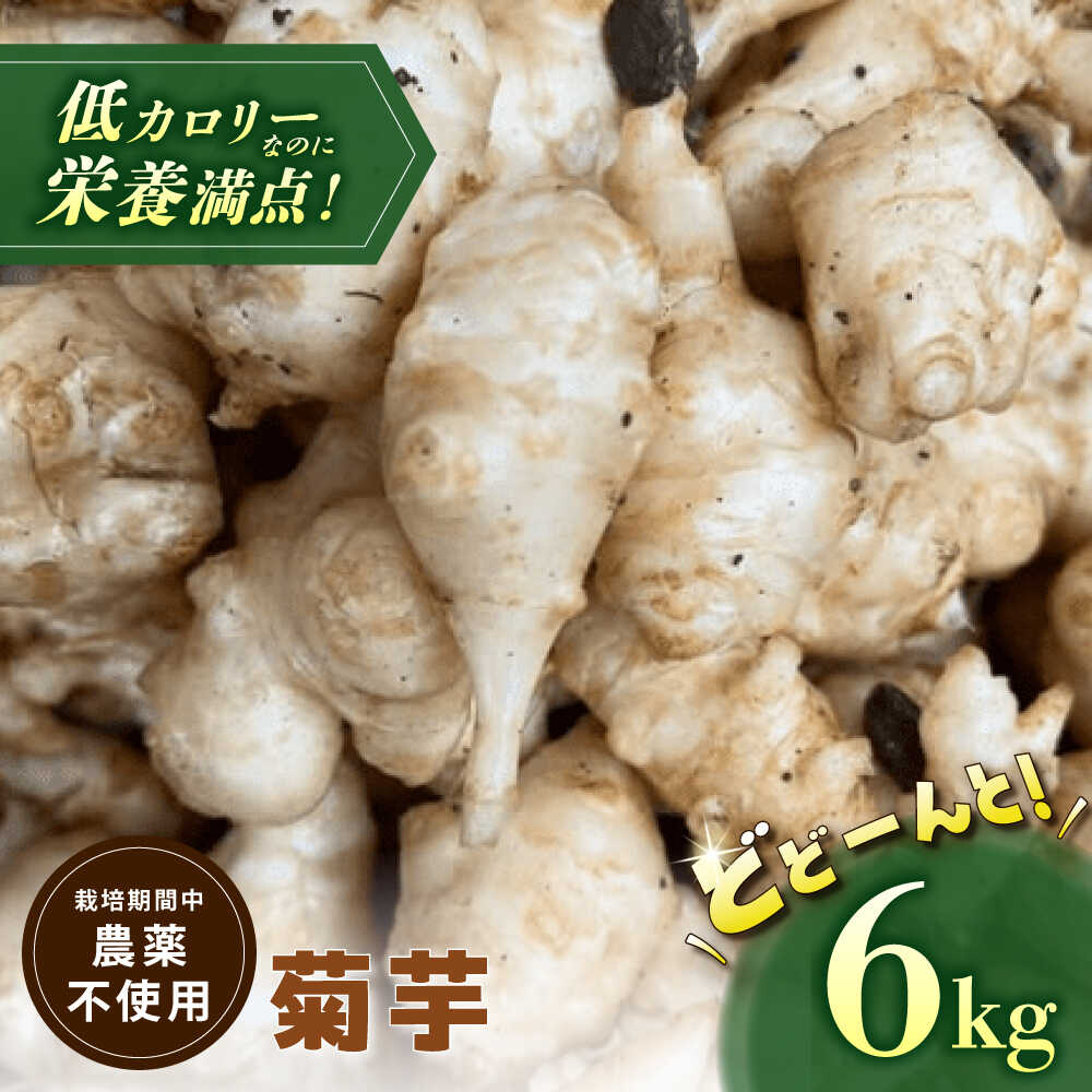 リスペリドン　干し菊芋　4キロ　自然栽培・天日干し リスペリドン様専用 干し菊芋 4キロ 自然栽培・天日干し