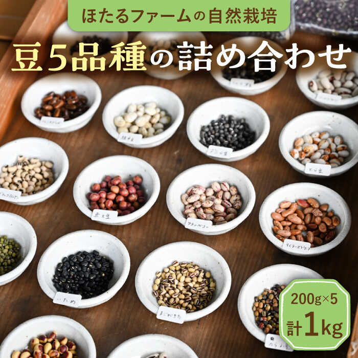 【ふるさと納税】※数量限定※【先行予約】自然栽培の豆 5品種 約1kg 農家直送 豆 詰め合わせ 多治見市 / ほたるファーム [TEB004]｜岐阜県多治見市