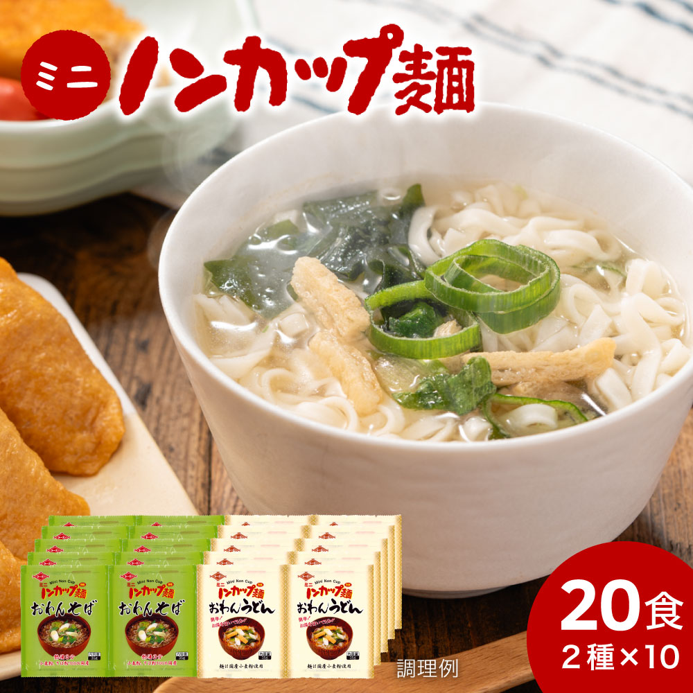 【ふるさと納税】<br>そば うどん 乾麺 蕎麦 お取り寄せ 美味しい つゆ付き インスタント 麺だけ 袋麺 非常食 ミニノンカップ麺 おわん麺セット20食（2種×10食） 備蓄 保存食 トーエー食品 国産