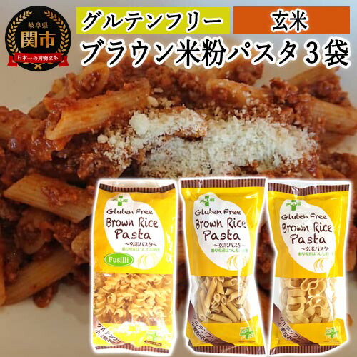 【ふるさと納税】グルテンフリー ブラウンライスパスタ 玄米粉 米粉パスタ 岐阜県産ハツシモ100% 国産 小麦粉不使用 乾麺 糖質制限 米粉麺 ペンネ/フジッリ/パッケリ 備蓄 長期保存 防災食 ローリングストック用 PLUSパスタ S10 米粉パスタ G5-10
