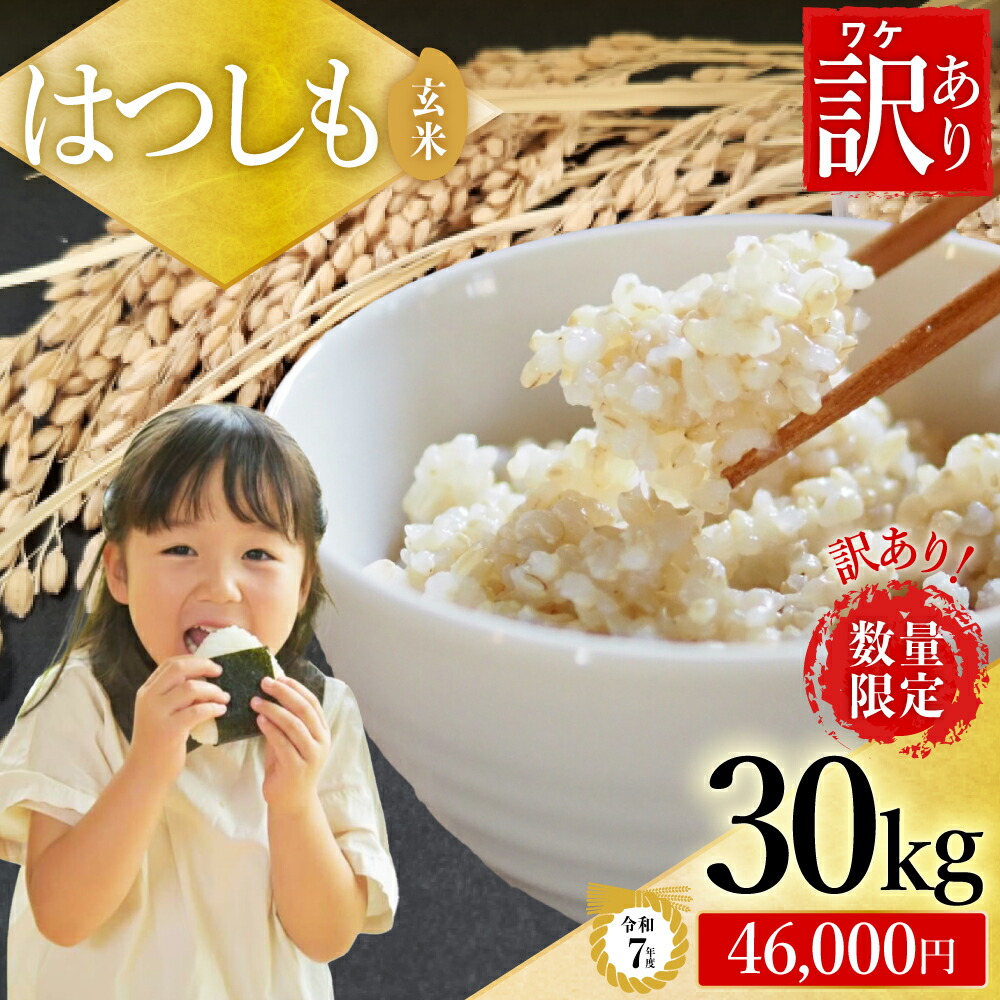 【ふるさと納税】【30kg 今だけ寄付額46,000円/在庫なくなり次第終了】令和7年産 ハツシモ米【 玄米 】30kg 【岐阜県代表品種】訳あり 期間限定 数量限定 寄付額改定/世界農業遺産認定地域(清流長良川中流域)で栽培! 大量 大容量 L6 G30-08