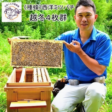 【ゴルフ妄りがわしい必見】ふるさと納税でもらえるブリヂストンの一般受けゴルフどんぶり鉢