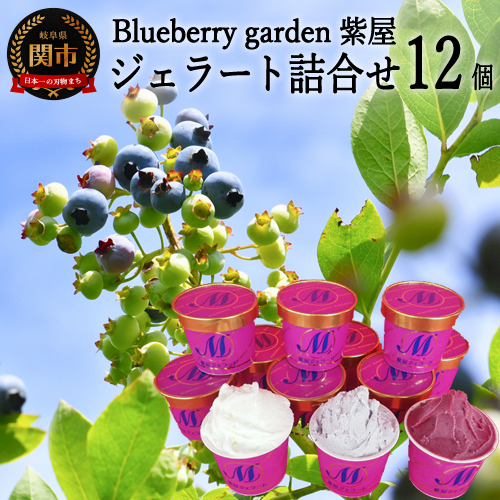【ふるさと納税】自然農園 紫屋のジェラート 12個セット 【 ブルーベリー・ミルク・ソルベ 】　S12-10 ～地元人気店 栽培期間中無農薬 アイス 菓子 デザート スイーツ｜岐阜県関市